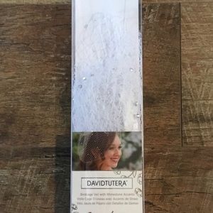 White Bird Cage Bridal Veil